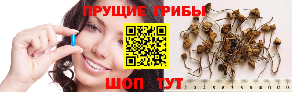 Псилоцибиновые грибы MAGIC MUSHROOMS Реж