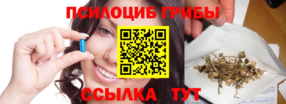 Псилоцибиновые грибы Cubensis  Вход с VPN  Реж  продажа наркотиков  Псилоцибиновые грибы Psilocybine cubensis 